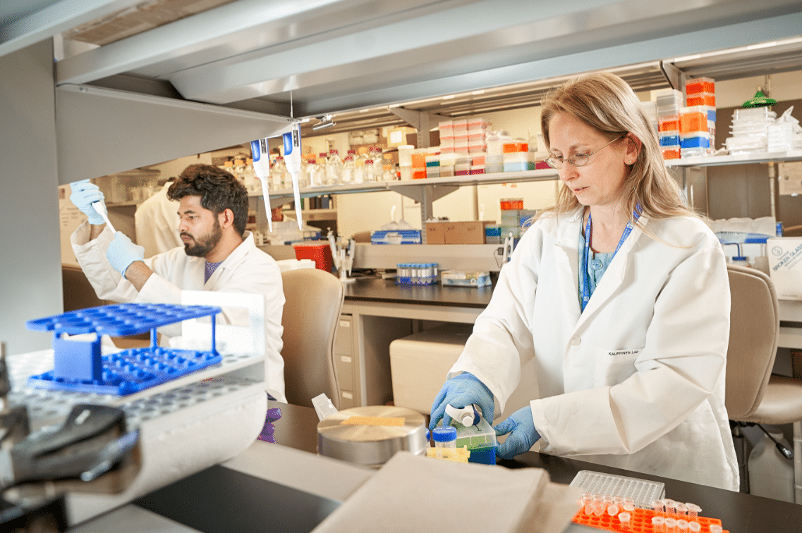 Doctors conducting medical research