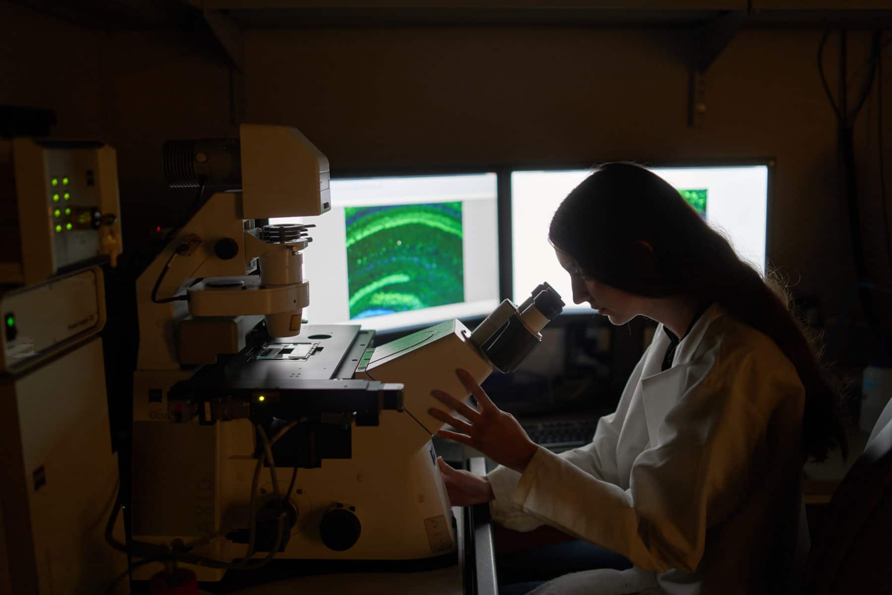 Doctor examining through a microscope.